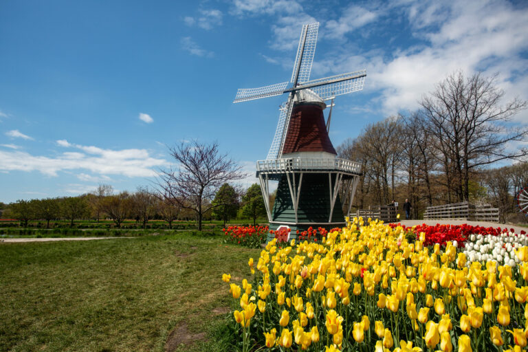 10 American Towns Where Flower Festivals Take Center Stage