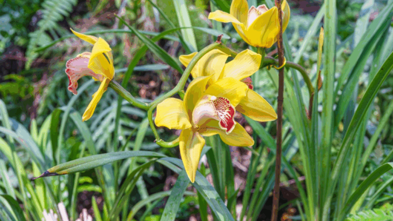 13 Controversial Plant Hybrids So Rare People Still Debate Them