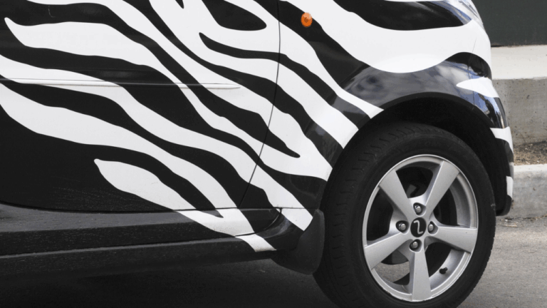 11 Special Edition Decals and Stripe Packages That Add Real Value to Your Car