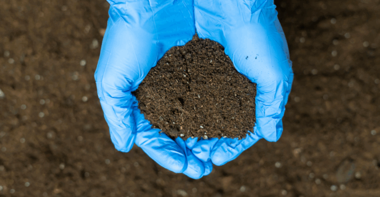 13 Ways to Keep Your Soil Healthy All Winter