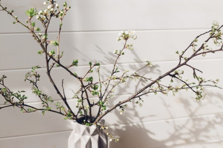 11 Branches You Can Cut and Bring Indoors for February Blooms