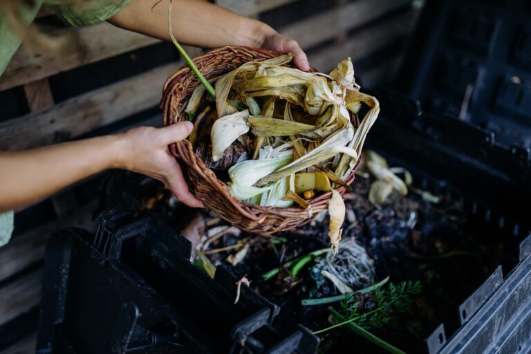 14 Cold Weather Compost Tips for January