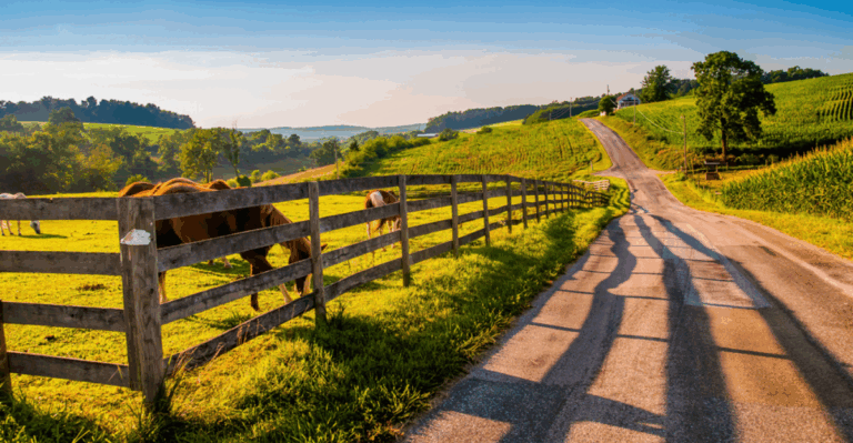 13 Farm Parks in the U.S. With Animals, Hayrides, and Easy Trails