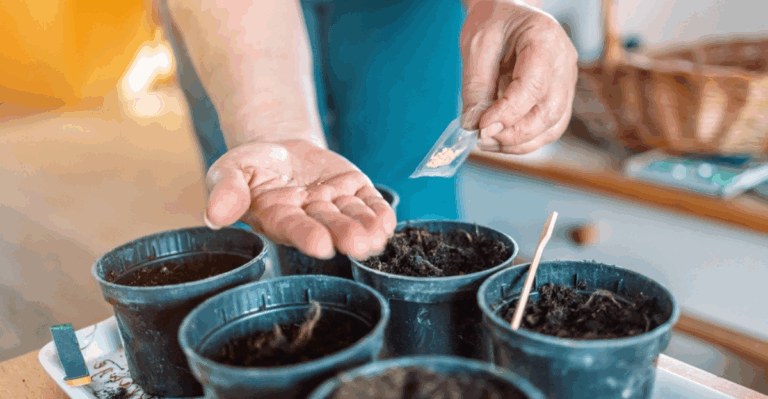 17 Flower Seeds to Start Indoors in February for Early Color