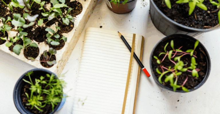 13 January Garden Journal Ideas That Make Planning Easier