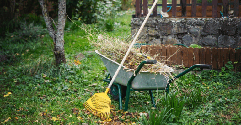 14 January Lawn Care Tips That Prevent Spring Headaches