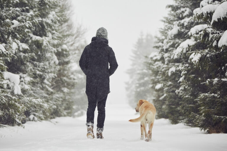 12 Walking Goals for Winter That Feel Realistic and Motivating