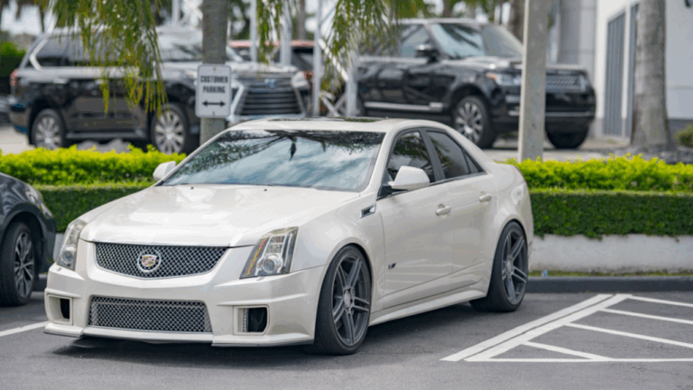 15 Rare Station Wagons That Are Somehow Cool Now