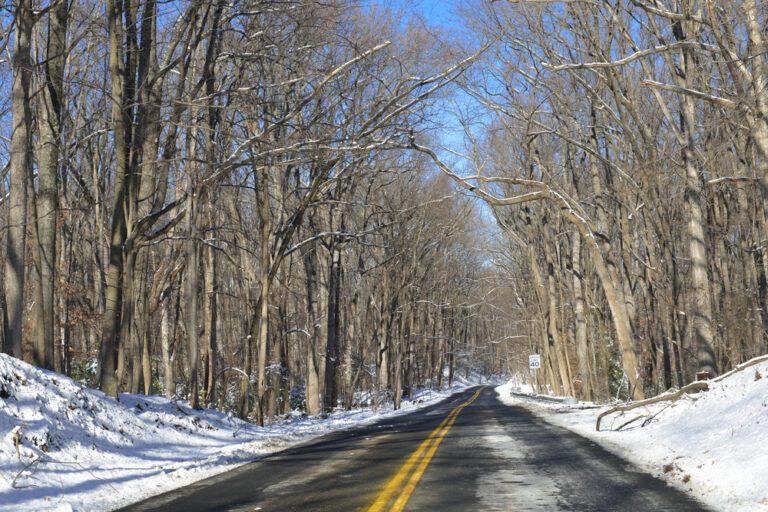 11 Late Winter Road Trips in the U.S. With Scenic Overlooks and Short Walks