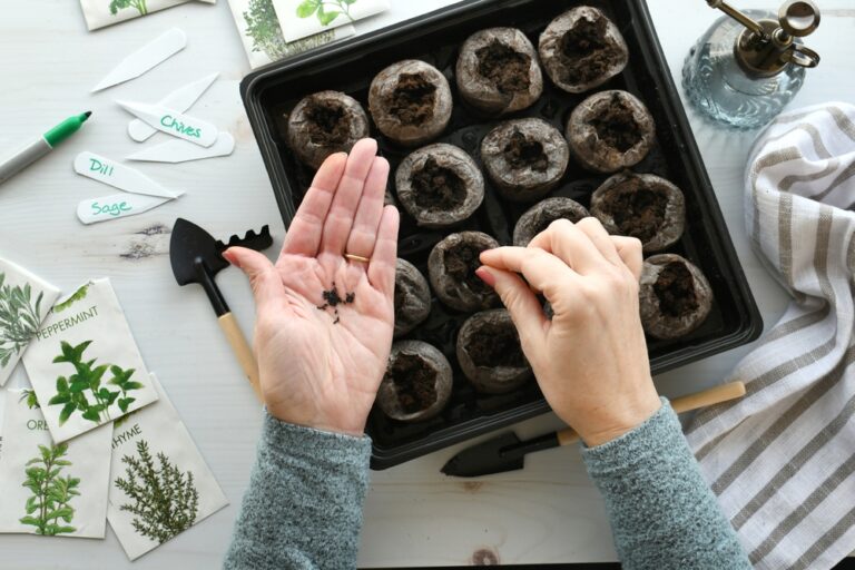 13 Indoor Herb Prep Steps That Make Outdoor Growing Easier