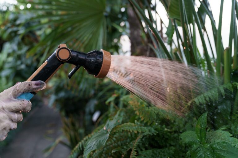 11 Winter Watering Tips for Outdoor Plants in Dry Climates