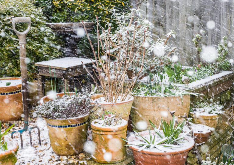 11 Late Winter Garden Planning Tricks That Save Space and Time