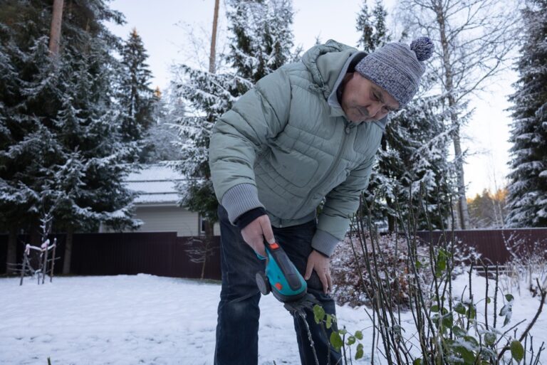 10 Trees and Shrubs To Prune in Late Winter and Ones To Leave Alone