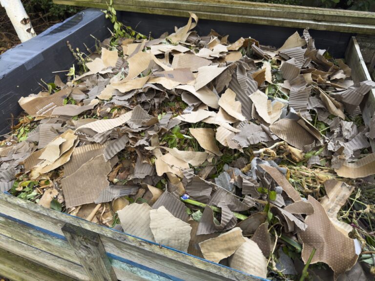 11 Late Winter Compost Fixes That Make Spring Planting Easier