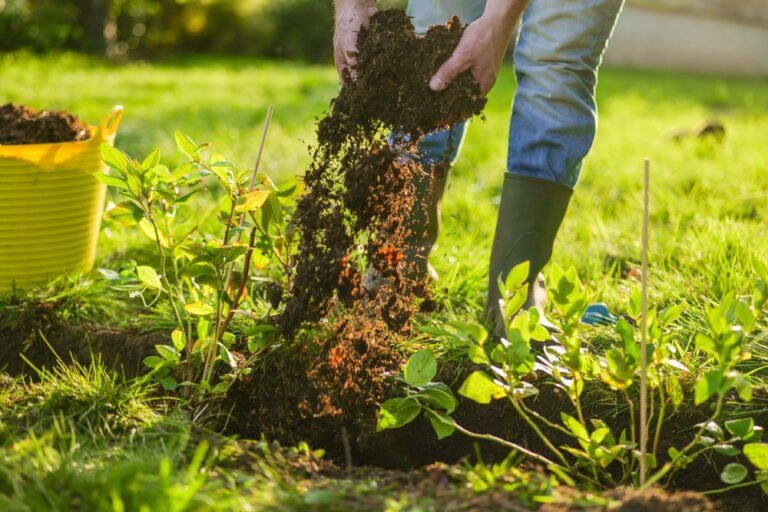 11 Fruits and Berries To Plant While the Ground Is Still Cool