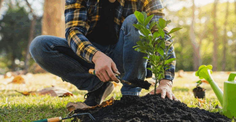 13 Fruit Trees to Plant While They Are Still Dormant