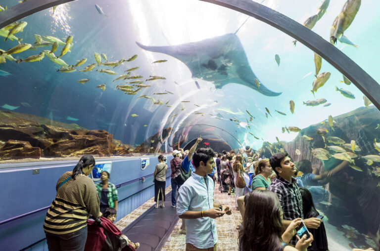 12 Aquariums That Still Impress Adults And Keep Kids Busy