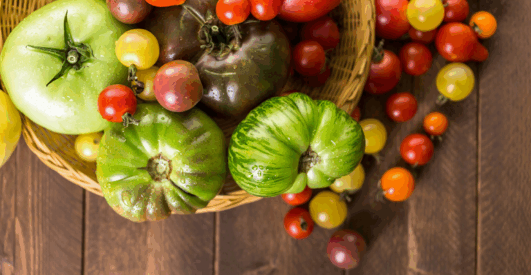 17 Old-School Tomato Varieties with Flavors You Will Not Find in Supermarket Packs