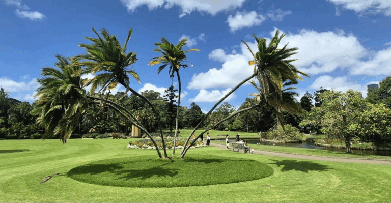 16 Picnic Spots with Space for Kids and Views for Adults