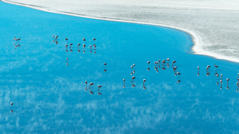 17 Rare Lakes With Odd Colors And Real Science Behind Them