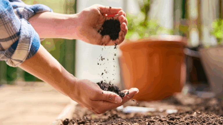 10 Soils And Seed Starting Mixes That Actually Work In February