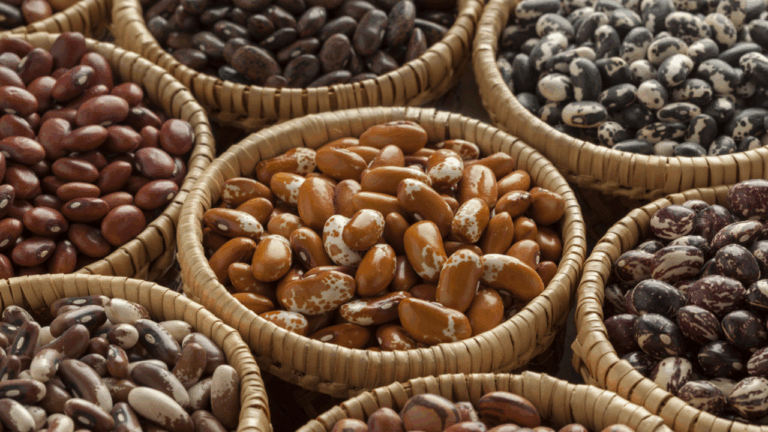 13 Heirloom Beans With Creamy Centers and Beautiful Speckles