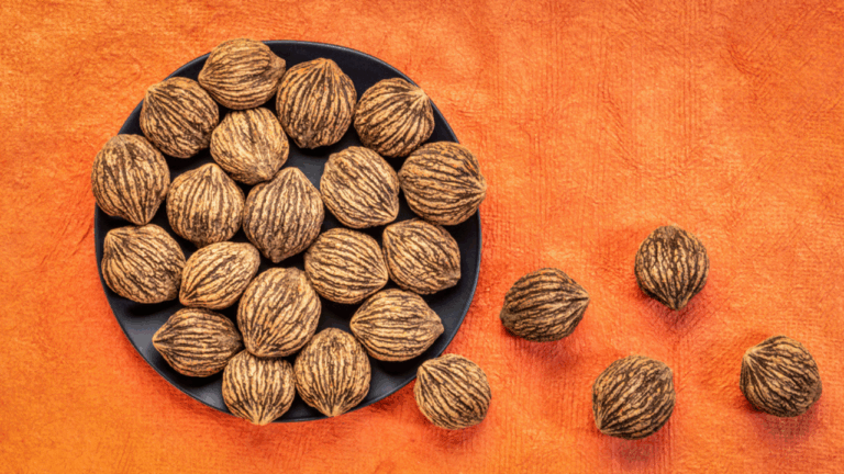 9 Forgotten Nut Varieties With Sweet, Toasty Flavor