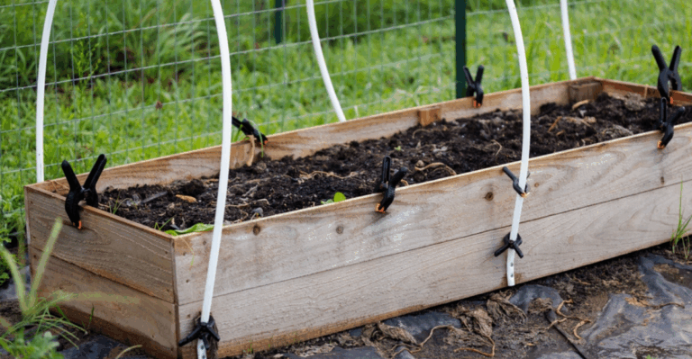 13 Raised Bed Tasks to Do in February Before Planting Starts