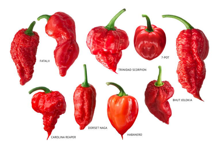 15 Rare Chili Pepper Varieties with Famous Heat and Flavor Stories
