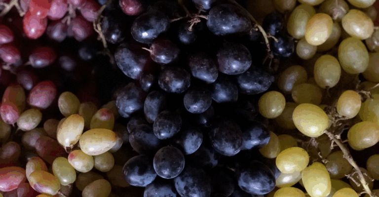 13 Fun Grapes with Candy Flavor and Crunchy Skins