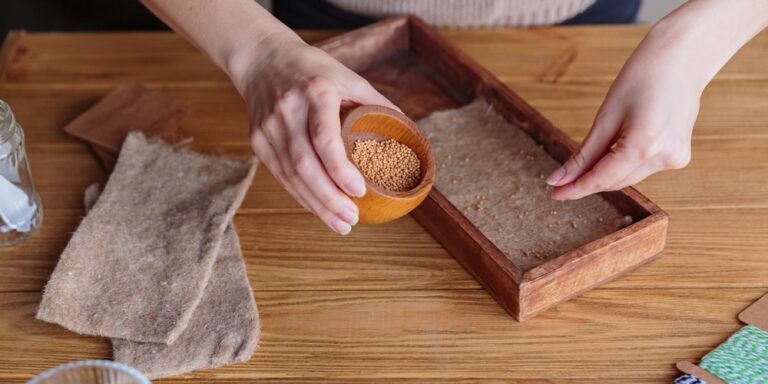 10 Seed Stratification Tricks To Try In February