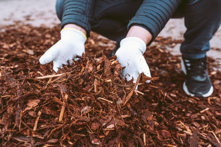 10 Late-Winter Mulching Tips That Protect Roots Without Causing Rot