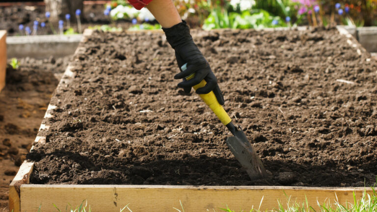 11 Raised Bed Refresh Ideas That Don’t Require New Soil