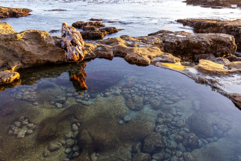 13 Best Late Winter Coastal Trips With Tide Pools And Easy Beach Walks