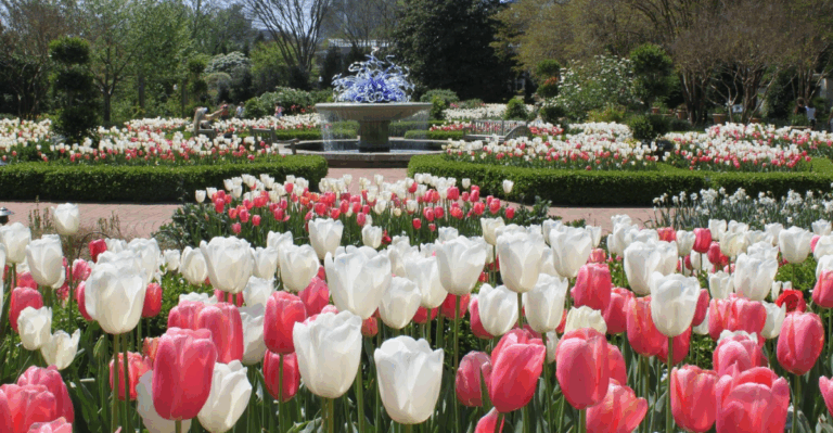 20 Botanical Gardens and Flower Festivals Worth a March Weekend