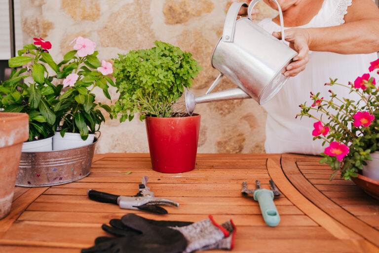 12 March Container Refresh Ideas For Patios And Porches