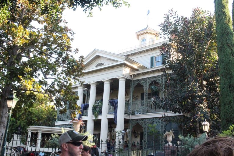 11 Theme Park Adventures Tailored for All Ages This Season