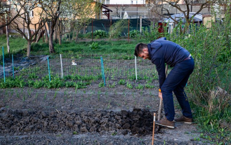 14 Early March Garden Jobs That Make April Easier