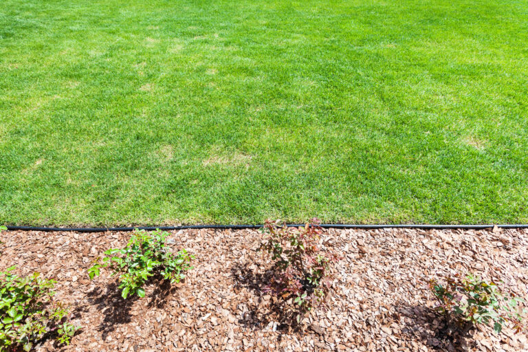 7 Quick Garden Bed Edging Ideas That Hold Up All Season