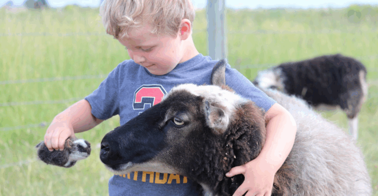 13 Farm Stays for Seeing Baby Animals This Spring