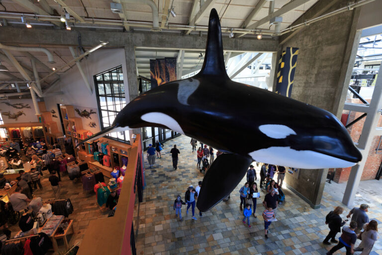 15 Rainy Day Spring Break Trips With Aquariums, Museums, and Indoor Play