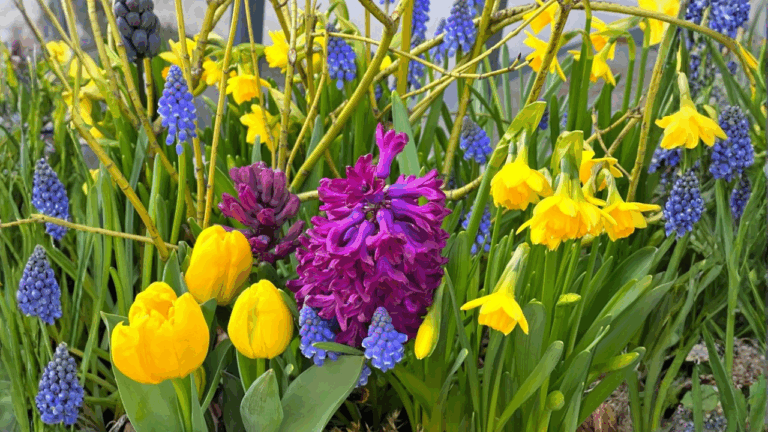 16 Spring Plants That Look Great With Tulips and Daffodils