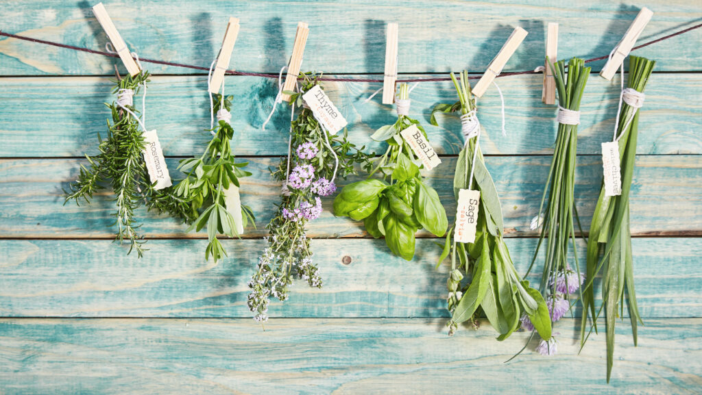 Spring Erbse 14 Spring Herbs That Wake Up Early
