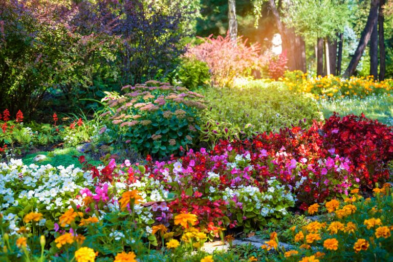15 Spring Plants That Stay Neat and Low Maintenance