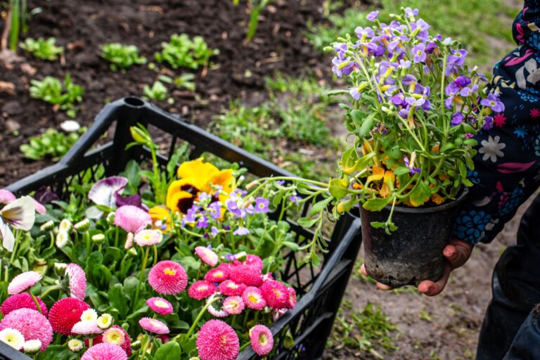 15 Spring Plants That Look Great in Containers