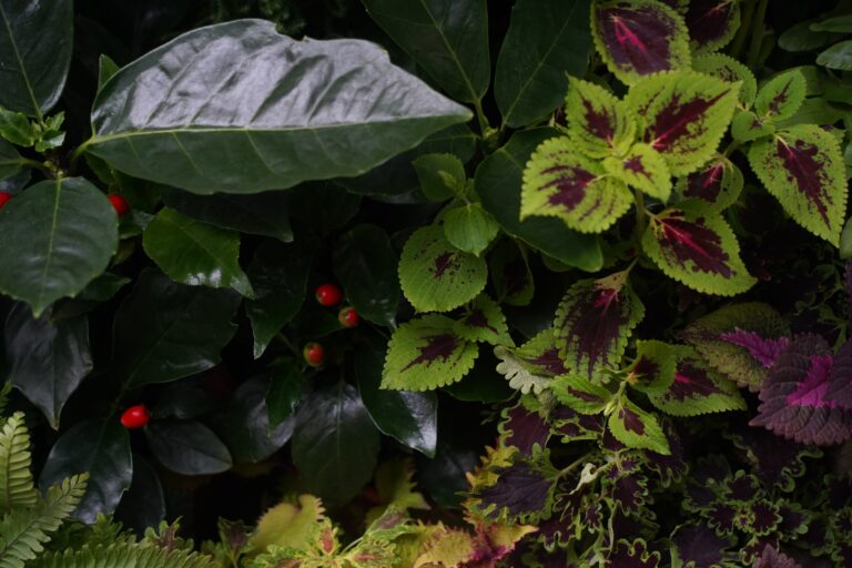 14 Spring Plants With Interesting Foliage, Not Just Flowers