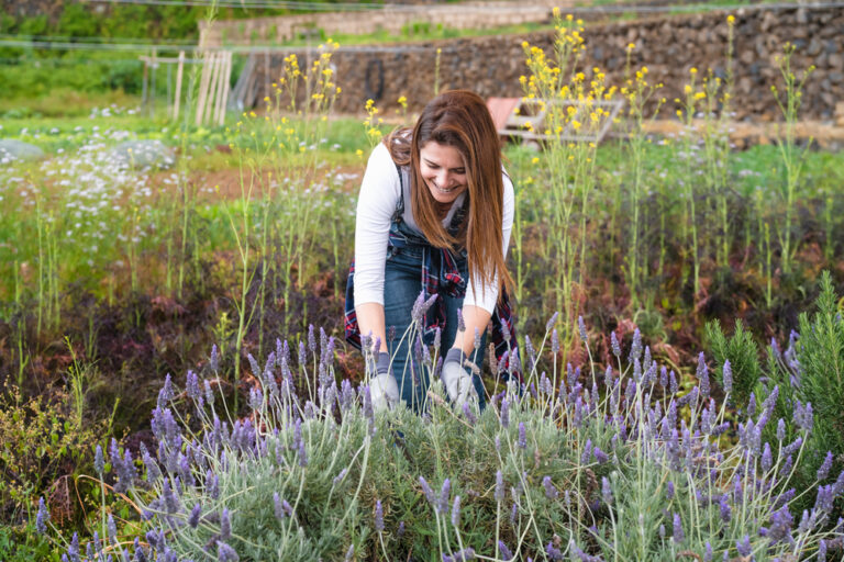 13 Aromatic Plants to Enhance Your Sensory Garden This Season