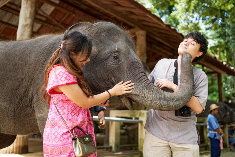 11 Volunteer Vacations Combining Travel and Giving Back in March