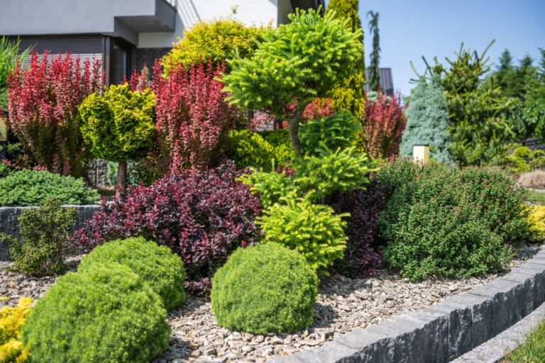 12 Evergreen Shrubs to Anchor Your Garden Through Spring
