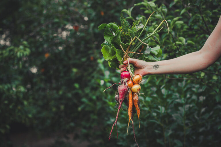 15 Cold Hardy Veggies You Can Direct Sow In Early March